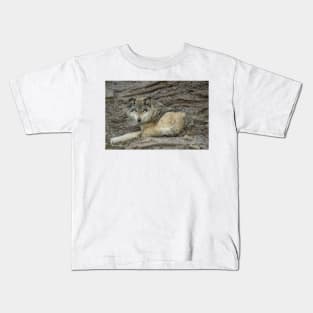 Gray Wolf Laying Down Kids T-Shirt